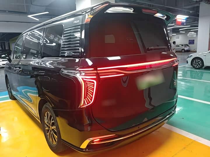 Hongqi HQ9 Hybrid, 2024 — фото 6 из 9