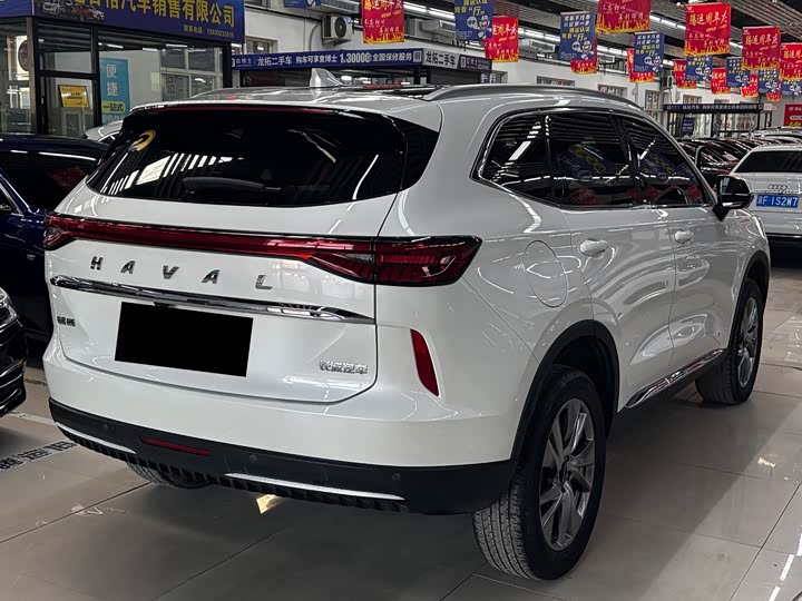 Haval H6 Hybrid, 2022 — фото 6 из 9