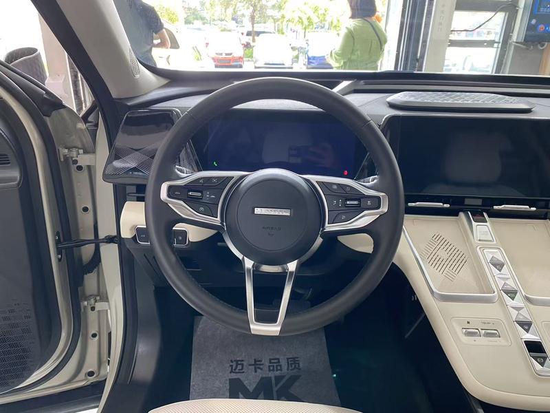 Haval Ruge Max, 2024 — фото 8 из 12