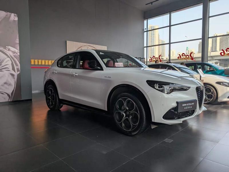 Alfa Romeo Stelvio, 2023 — фото 3 из 12