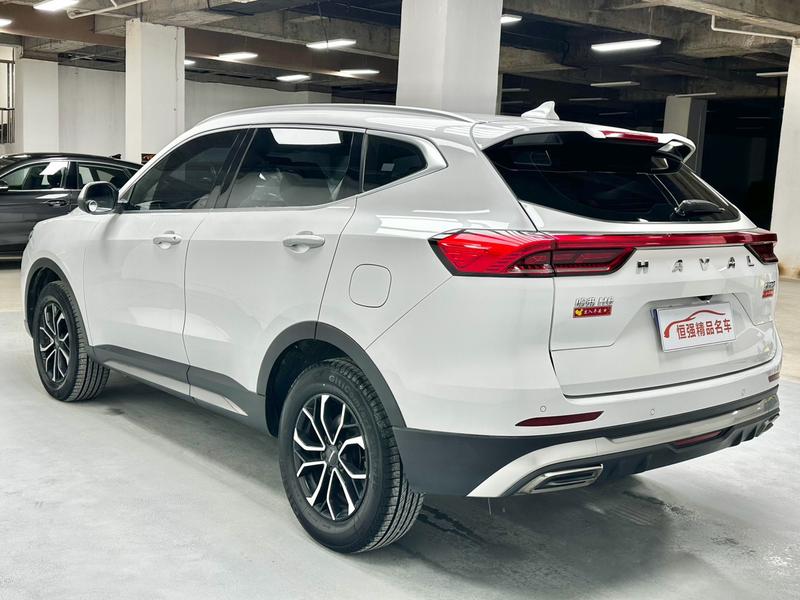 Haval H6, 2021 — фото 4 из 12