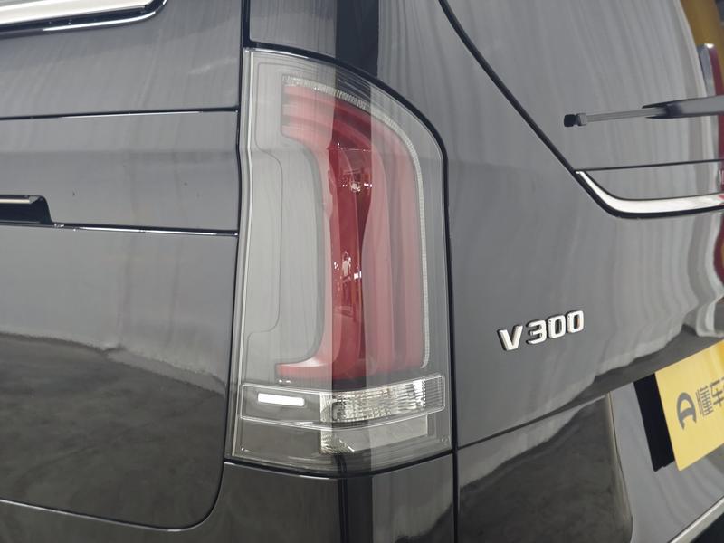 Mercedes-Benz V-Class, 2025 — фото 10 из 12