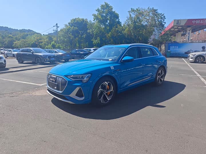 Audi e-tron, 2025 — купить в Ижевске под ключ