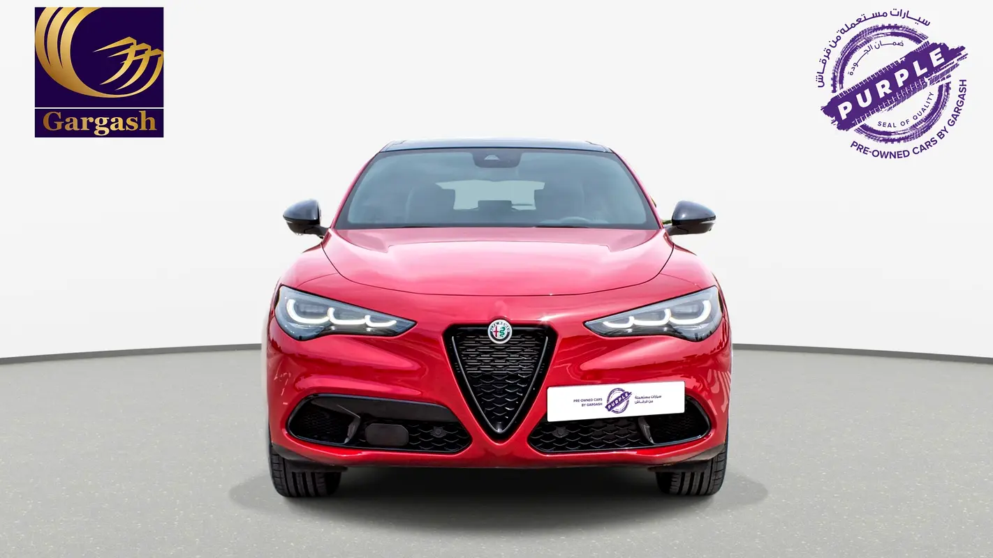 Alfa Romeo Stelvio, 2024 — фото 2 из 10