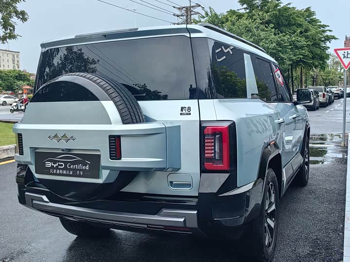 BYD FangChengBao Leopard 8, 2024 — фото 9 из 9