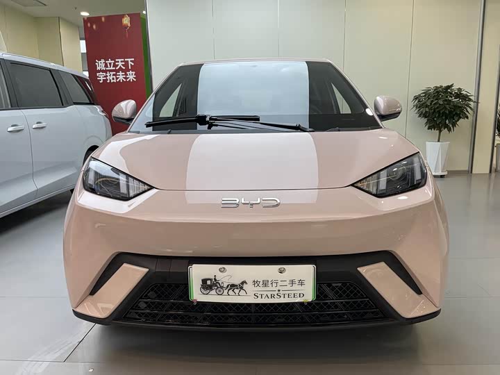 BYD Seagull, 2025 — фото 3 из 9