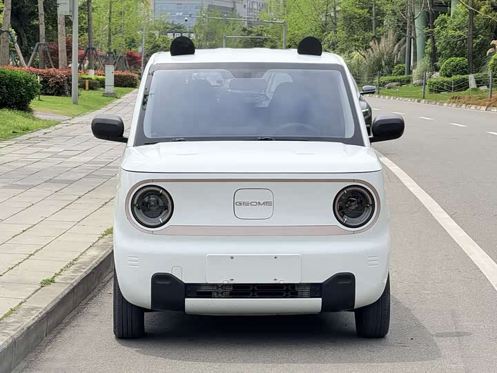 Geely Galaxy Panda Mini, 2023 — фото 2 из 9