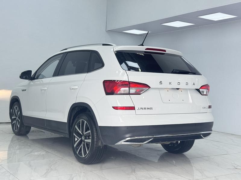 Skoda Kamiq, 2023 — фото 4 из 12
