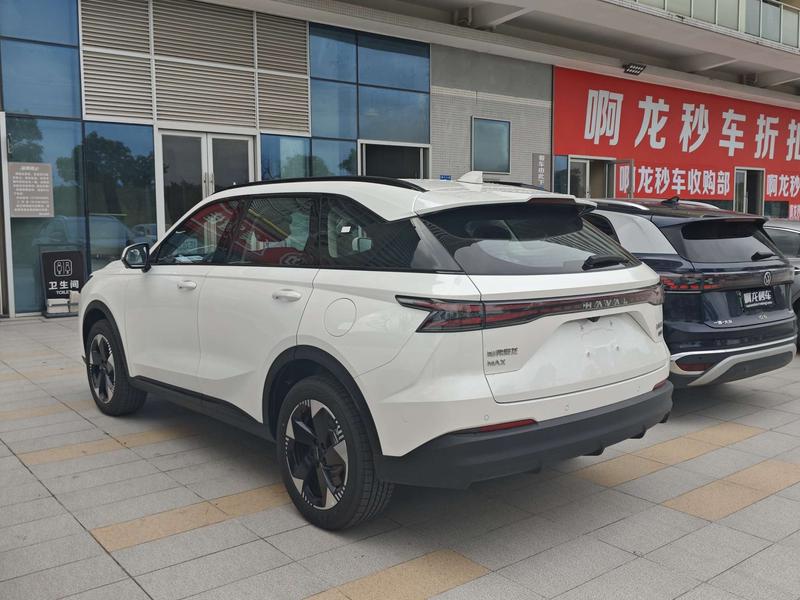 Haval Ruge Max, 2026 — фото 4 из 11