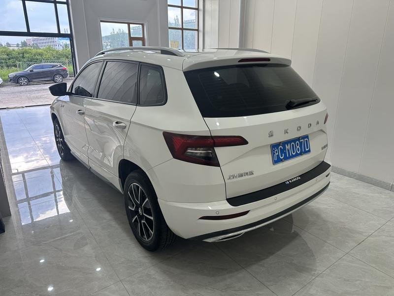 Skoda Karoq, 2023 — фото 4 из 12