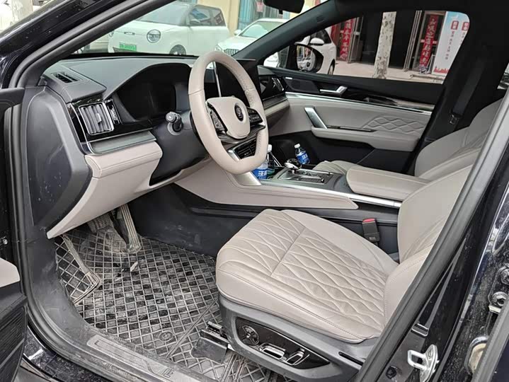 BYD Tang Hybrid/EV, 2025 — фото 9 из 9