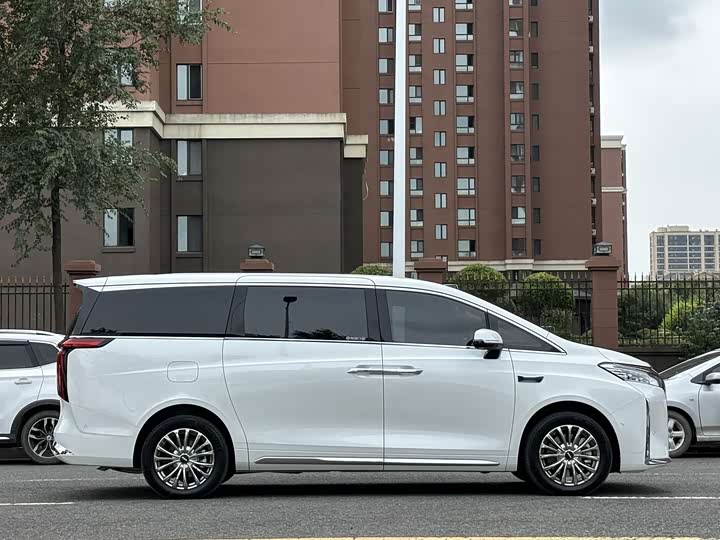 Wey 80 Hybrid, 2025 — фото 6 из 9