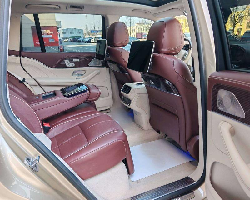 Mercedes-Benz Maybach GLS, 2022 — фото 8 из 10