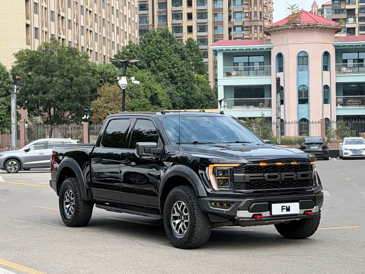 Ford F-150 Raptor, 2024 — фото 2 из 9