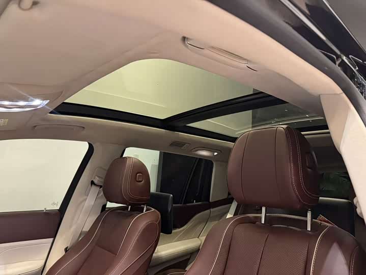Mercedes-Benz Maybach GLS, 2022 — фото 8 из 9