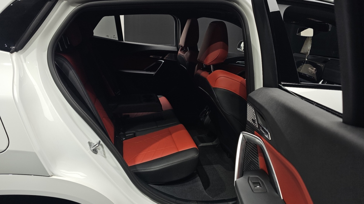 BMW X2 (F39), 2025 — фото 11 из 12