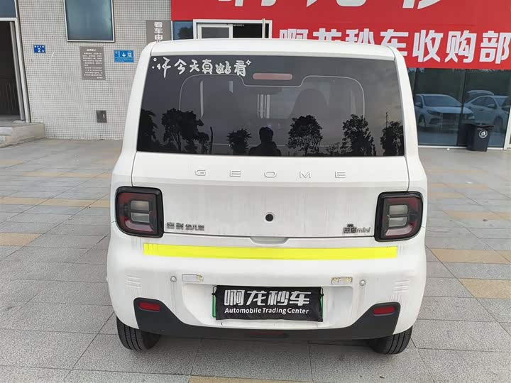 Geely Galaxy Panda Mini, 2023 — фото 5 из 5