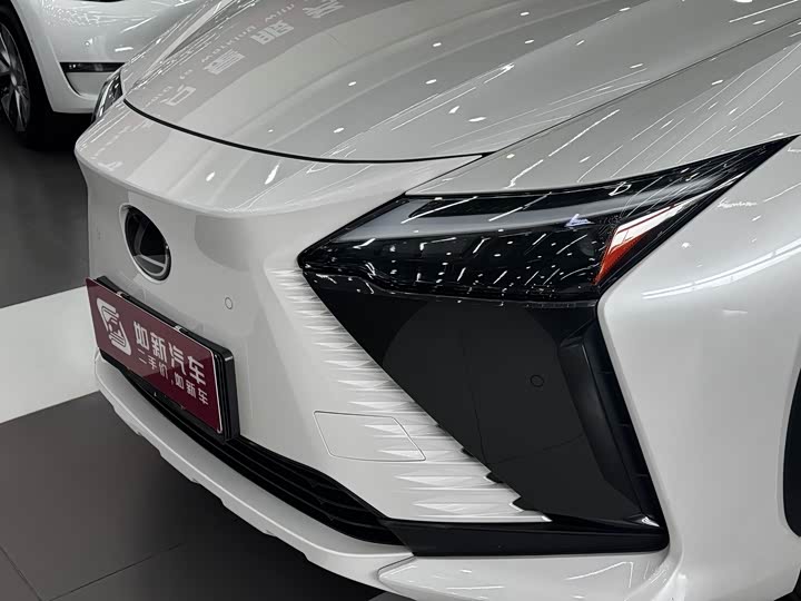 Lexus RZ, 2023 — фото 9 из 9