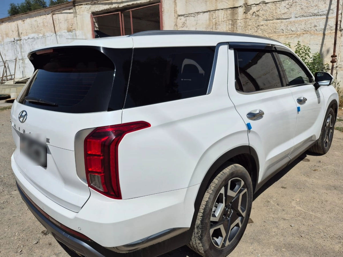 Hyundai Palisade, 2024 — фото 7 из 12