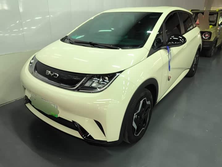 BYD Dolphin, 2024 — купить в Москве под ключ