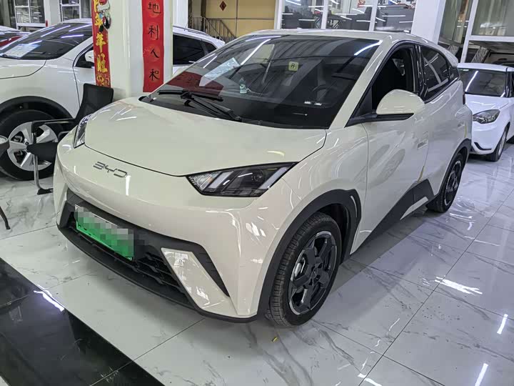 BYD Seagull, 2023 — купить в Орле под ключ