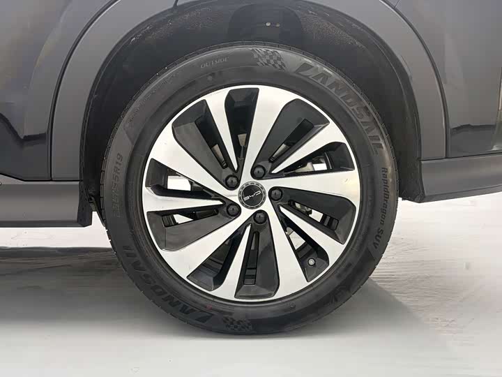 BYD Song Plus Hybrid/EV, 2024 — фото 9 из 9