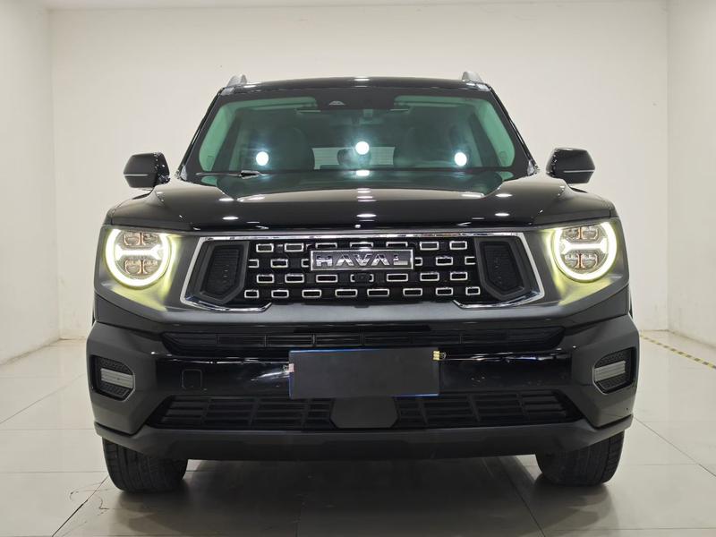 Haval H-Dog, 2023 — фото 2 из 10