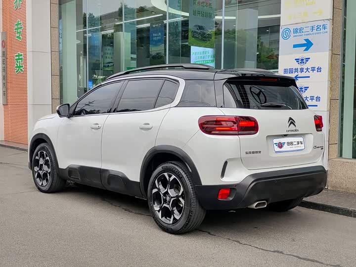 Citroen C5 Aircross 2023, 2024 — фото 4 из 9
