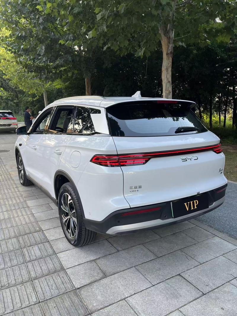 BYD Song Pro Hybrid, 2024 — фото 4 из 10