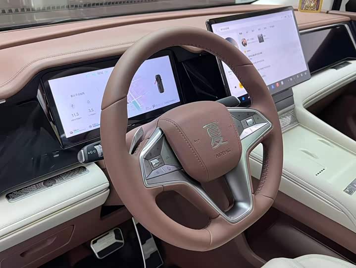 BYD Xia, 2025 — фото 7 из 9