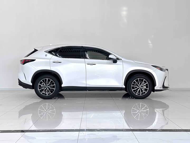 Lexus NX, 2023 — фото 5 из 9