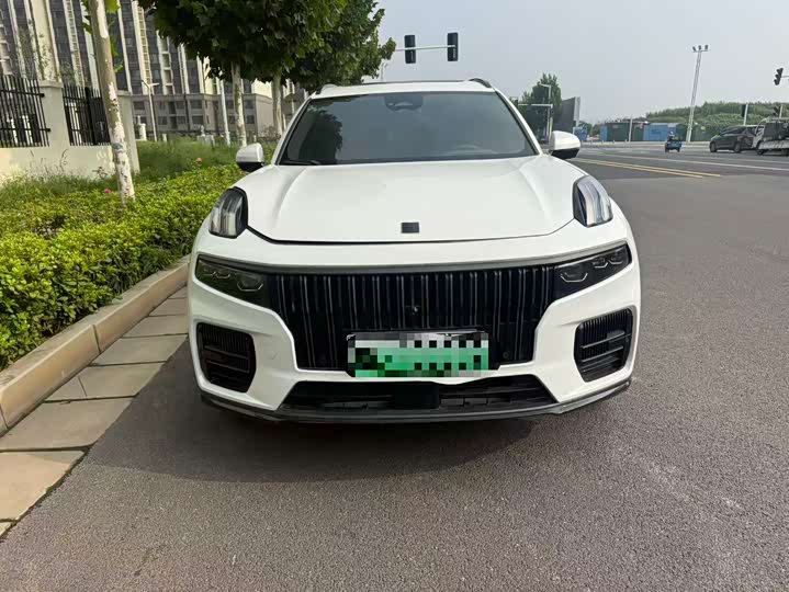 Lynk & Co 09 EM-P Hybrid, 2022 — фото 3 из 9