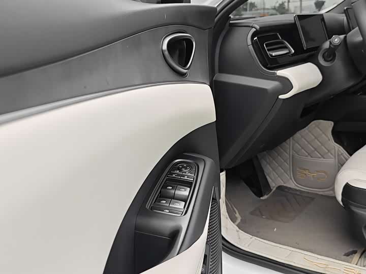 BYD Seal 06 Hybrid/EV, 2024 — фото 8 из 9