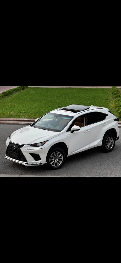 Lexus NX, 2021 — фото 10 из 12