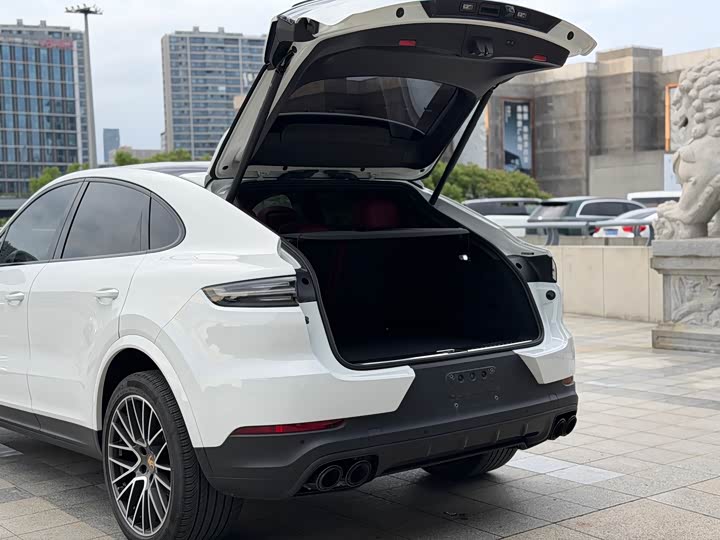 Porsche Cayenne, 2022 — фото 9 из 9