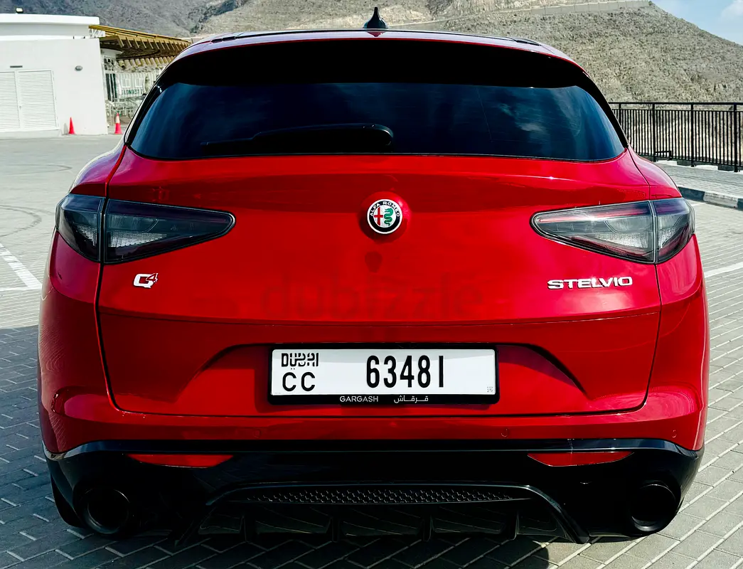 Alfa Romeo Stelvio, 2024 — фото 10 из 10