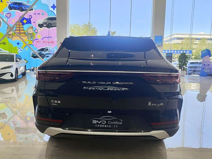 BYD Song Plus Hybrid/EV, 2022 — фото 6 из 9