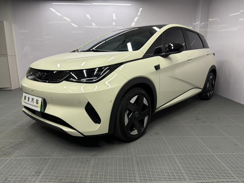 BYD Dolphin, 2025 — купить в Перми под ключ