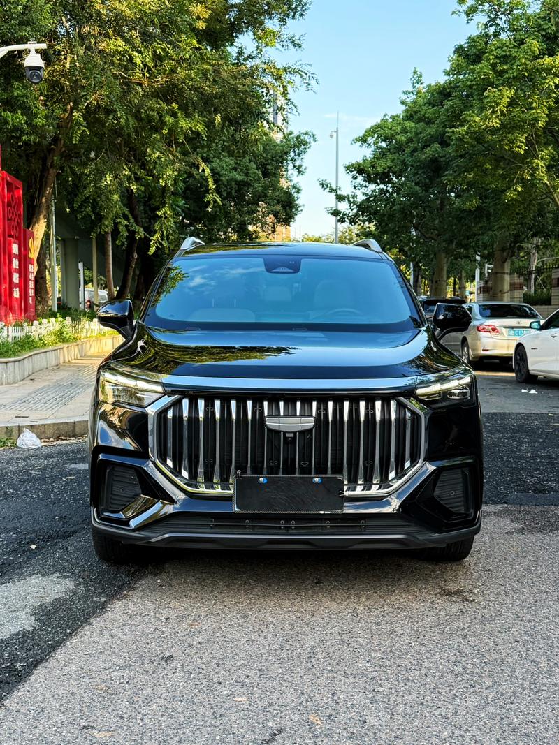 Geely Okavango L, 2023 — фото 2 из 12