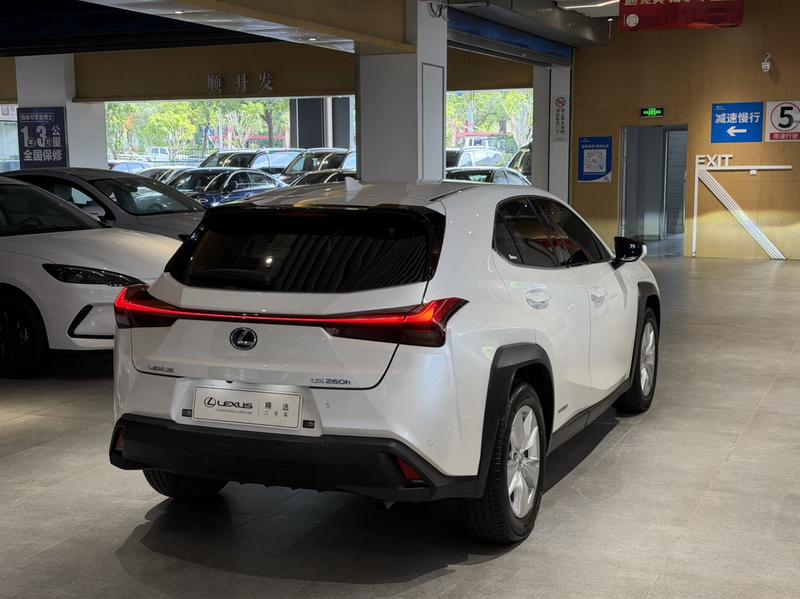 Lexus UX, 2021 — фото 4 из 10