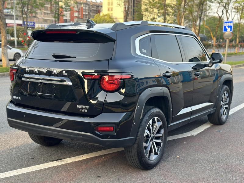Haval H-Dog, 2024 — фото 5 из 12