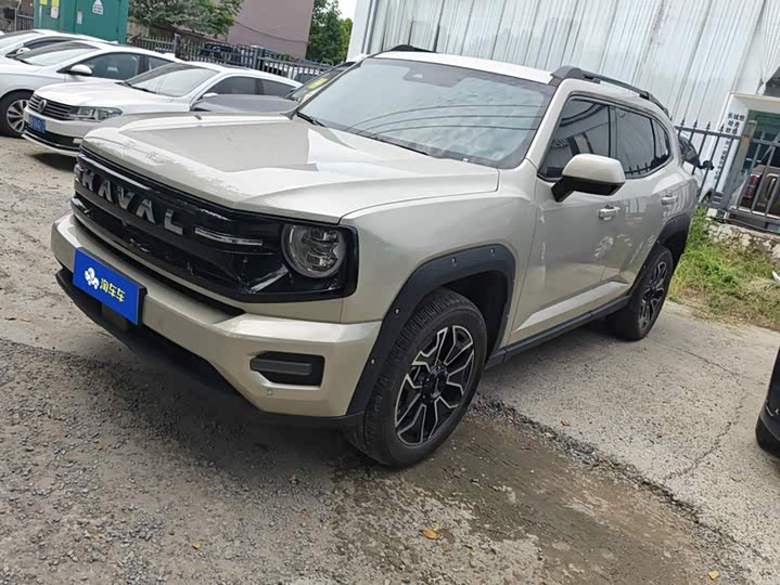 Haval H-Dog Hybrid, 2025 — купить в Рязани под ключ