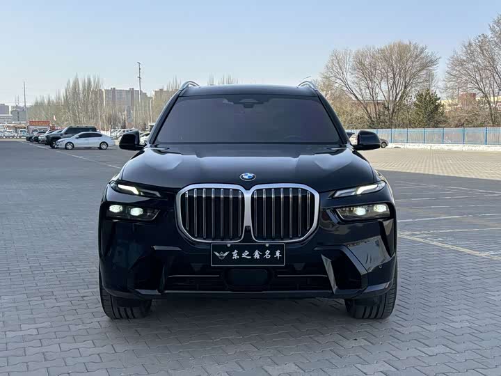 BMW X7, 2024 — фото 2 из 9