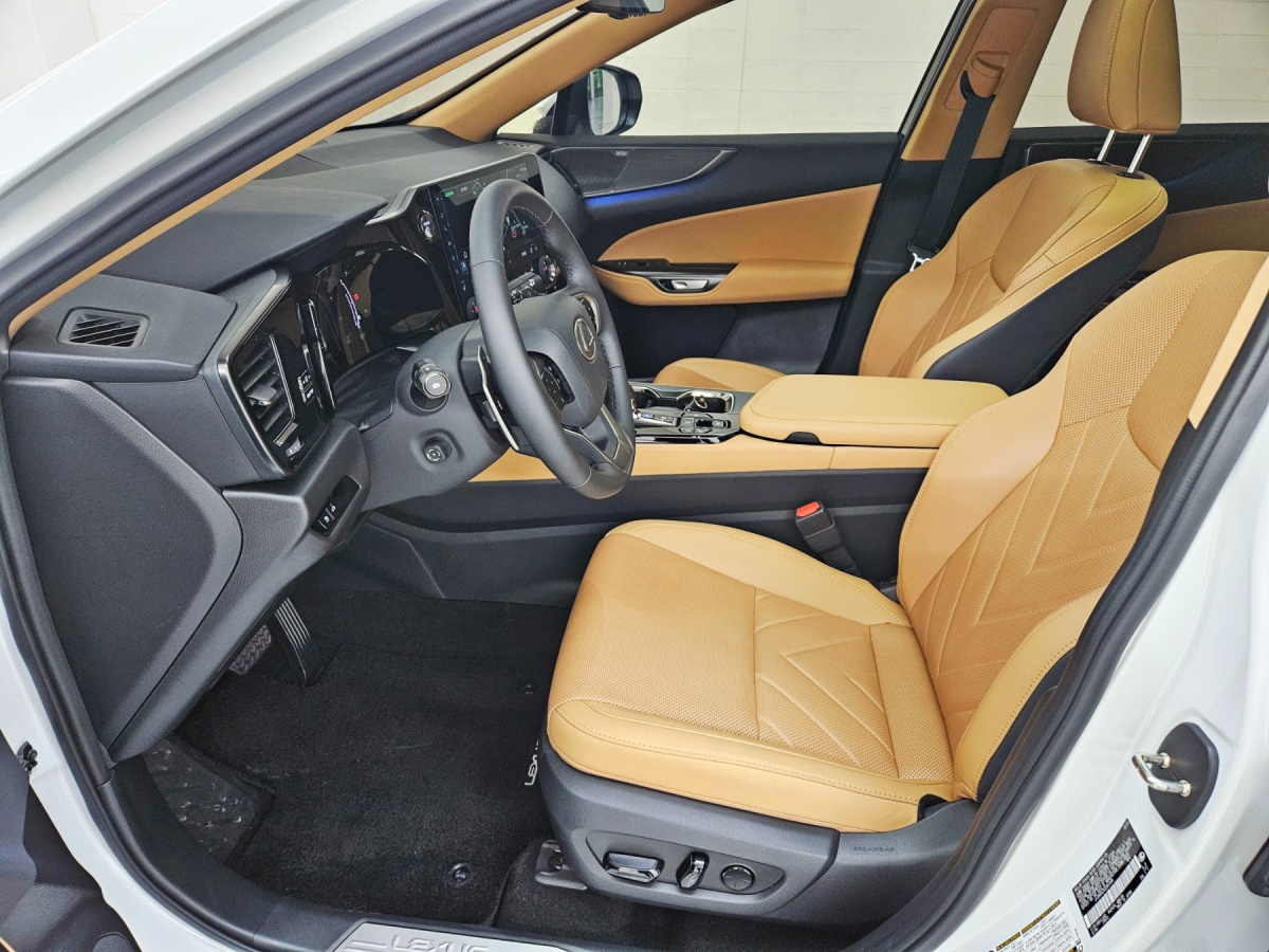 Lexus NX, 2025 — фото 9 из 12