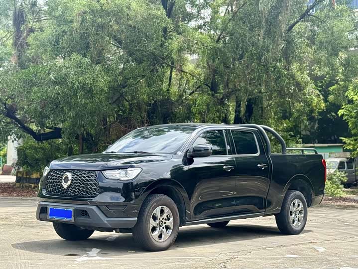 Great Wall Pao, 2022 — купить в Самаре под ключ