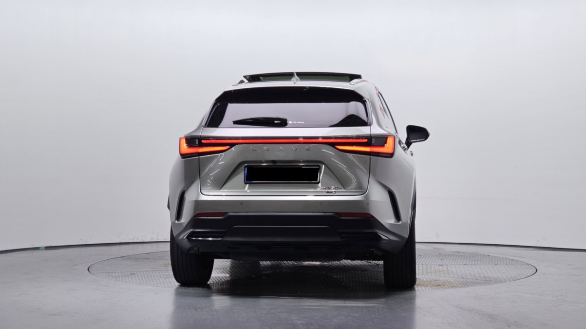 Lexus NX, 2024 — фото 4 из 12