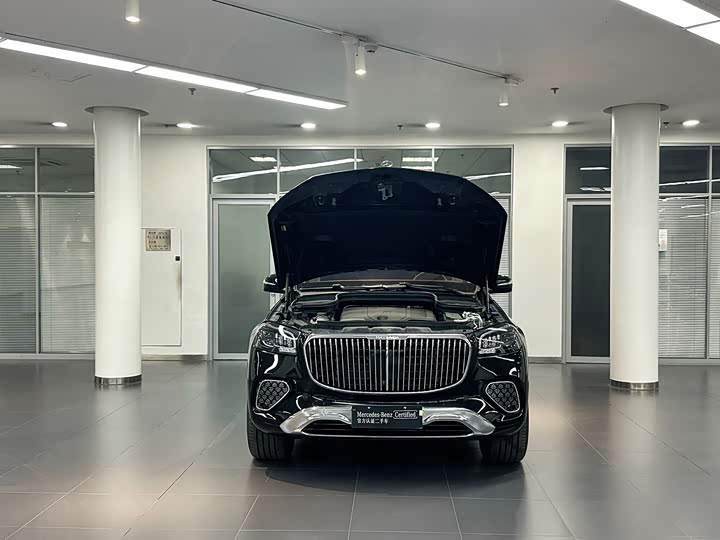 Mercedes-Benz Maybach GLS, 2025 — фото 3 из 9