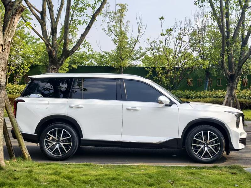 GAC Trumpchi GS8, 2023 — фото 8 из 12