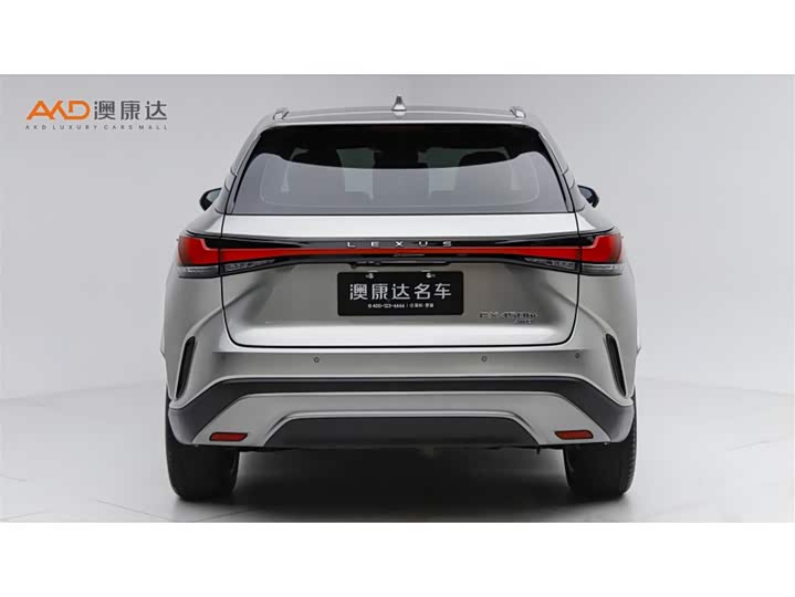 Lexus RX Hybrid, 2023 — фото 4 из 9