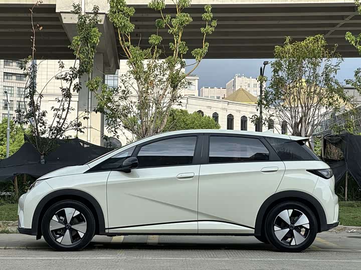 BYD Dolphin, 2023 — фото 4 из 9